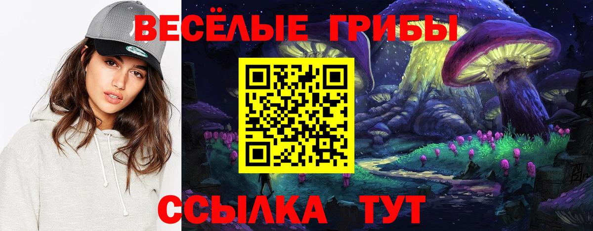 Alpha PVP СОЛЬ   Новозыбков  COCAIN  ГАШ  Канабис  Вход с VPN  Меф МЯУ МЯУ кристаллы  МАРИХУАНА 
